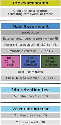 Acute Exercise Improves Motor Memory Consolidation in Preadolescent Children